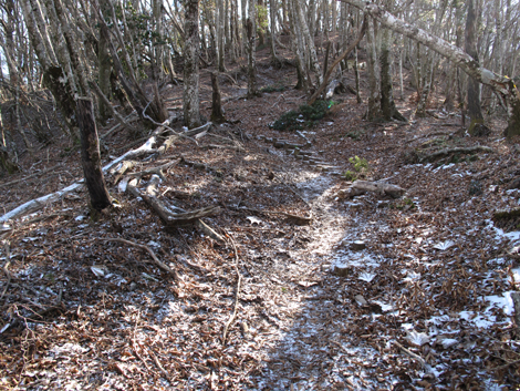 20181214hike (258)